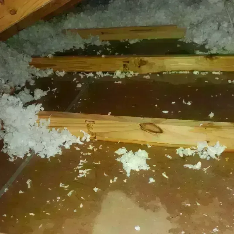 Attic Water Damage in Broadwater County, MT